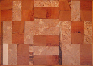 Stirnmosaik