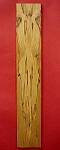 Rotkernbuche