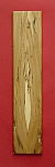 Stockbuche4